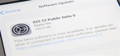 Image result for iPhone 5 Software iOS 12