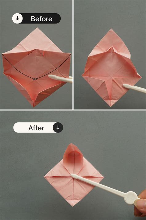 Image result for Origami Lotus Flower Variations