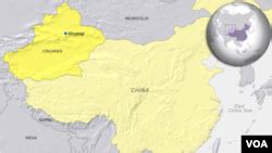 Arab League Visits China’s Xinjiang Region, Rejects Uyghur Genocide
