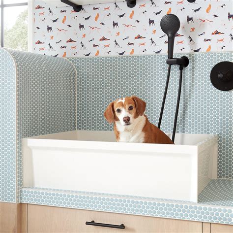Dog Wash Sink