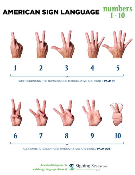Image result for ASL Numbers