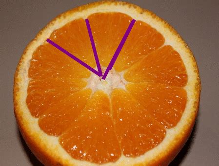 Image result for Angle Bisector Real Life Example