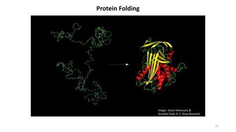 Molecular Dynamics Simulation 的图像结果