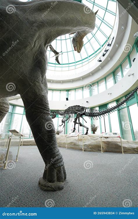 Raleigh, NC - USA - 12-20-2022: Dinosaur Exhibit at the Museum of ...