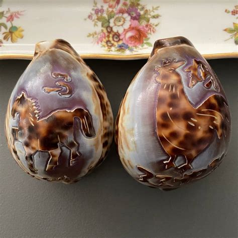 Image result for Ancient Tiger Shell