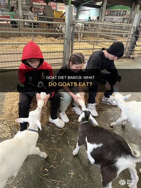 Goat Diet Basics: What Do Goats Eat? | ShunKeto