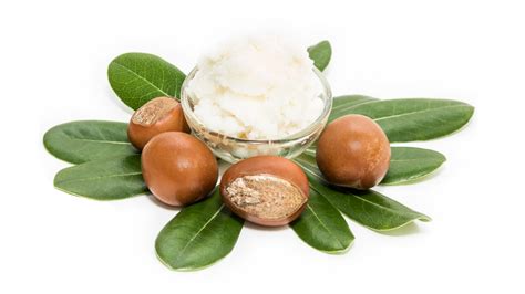 SMA'RT Shea Butter - SMA Collaboratives