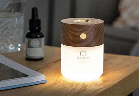 Image result for Over Lamp Light Diffuser