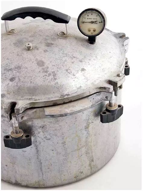 Electric Instant Pot: Goodbye, pressure cookers: It is now time for ...