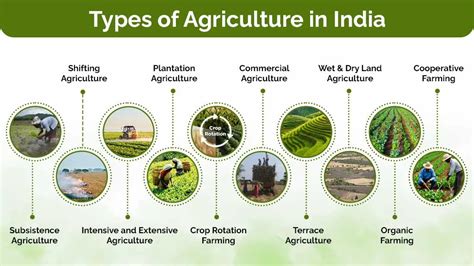 Agriculture 的图像结果