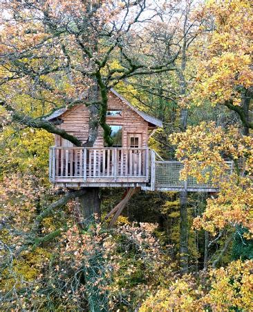 LE CHENE PERCHE - TREE HOUSES (Signy-l'Abbaye) - Campground Reviews ...