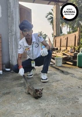 Every Life Matters: Our Wildlife Rescue Stories – September 2025