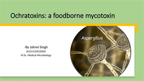 Ochratoxin: a foodborne mycotoxin by Jahnvi | PPTX