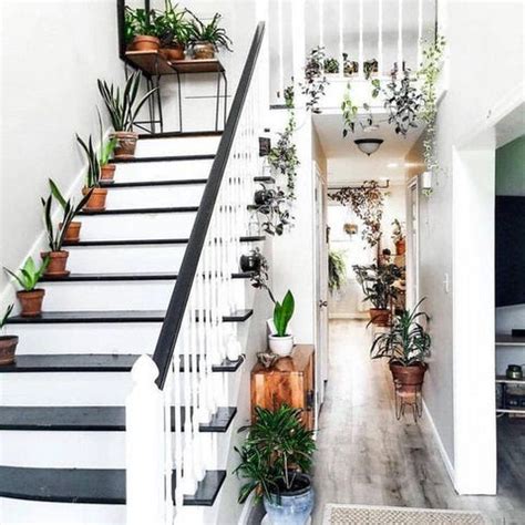 Top 13 Innovative Ways to Display Your House Plants | Nestasia