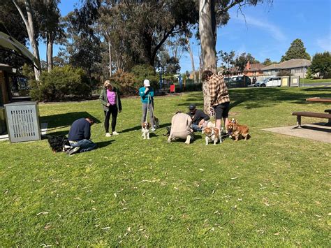 Spring Saunter, Lake Weeroona, Bendigo, 2 November 2024 | AllEvents