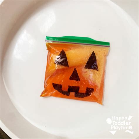 Image result for Exploding Pumpkin Experiment Zip Lock