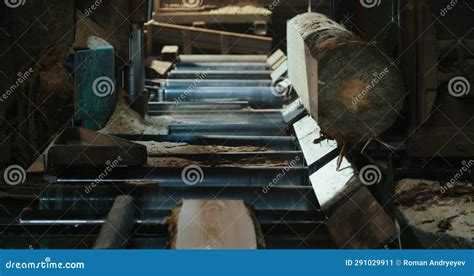 Timber Cutting Machine 的图像结果