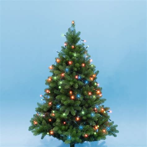 Novogodišnje LED sijalice za jelku KII50/M | Volim svoj dom