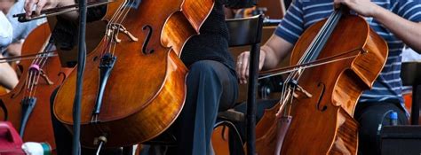 Minnesota Sinfonia at Caponi Art Park, 1220 Diffley Rd, Eagan, MN ...