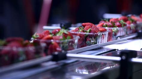 How AI Can Detect and Identify Smell