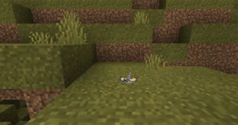 Image result for Animalia Mod Minecraft