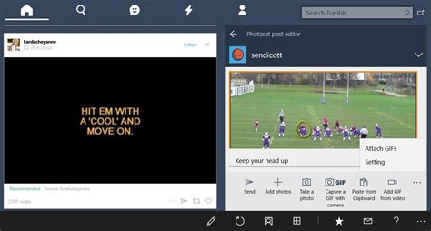 Image result for Tumblr Free Windows Programs