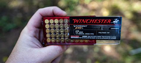 Image result for 17 HMR Exploding