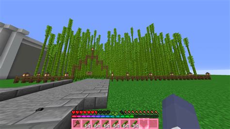 Image result for Bamboo Farm 1.18 Java