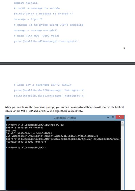 Image result for Code for Python Passcode
