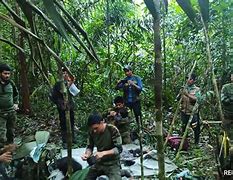 Image result for Children lost in Colombian jungle found alive
