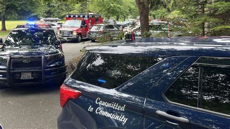 Man accused of hate crime in Bellingham park assault | Bellingham Herald