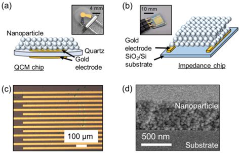 Water Vapor Condensation in Nanoparticle Films: Physicochemical ...