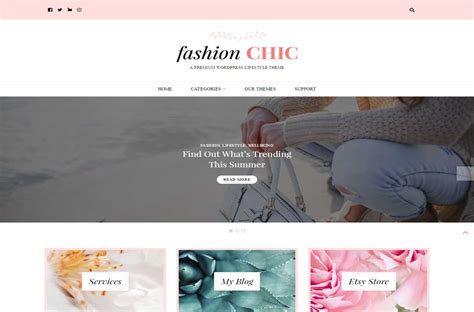Chic Lite WordPress Theme 的图像结果