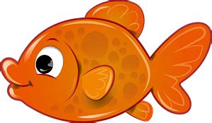 Image result for Create Database Name in MySQL