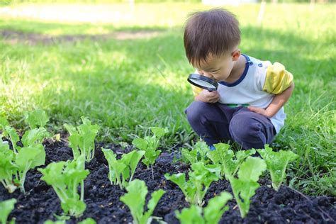 Science for Preschool 的图像结果