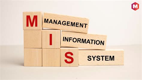 What is MIS? Management information systems | Marketing91