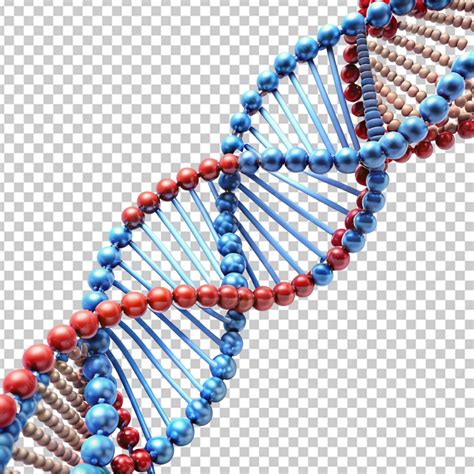 Estructura del genoma del adn en un fondo transparente | Archivo PSD ...