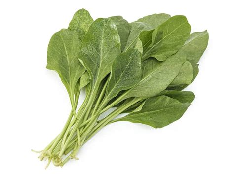 Hydroponic Spinach | Organically Grown Spinach - Buy Online ...