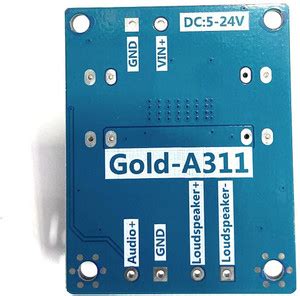 InkOcean Gold311A TPA3118 digital module 1X60W LED TV power supply ...