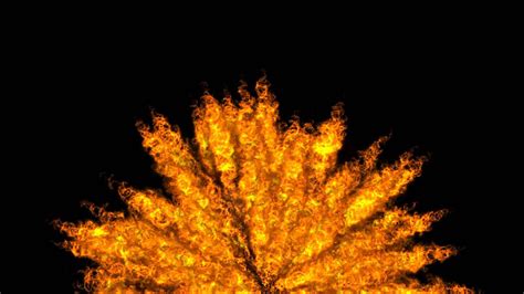 Colour Ball Exploding 的图像结果