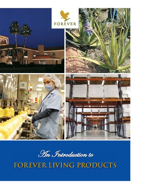 Manual- Mini Project-1 - Guidelines, Procedures and Rules for MBA -MINI ...