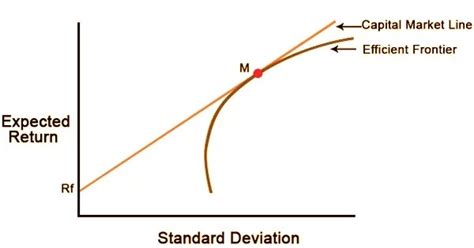 Image result for Capital Market Line Graphs