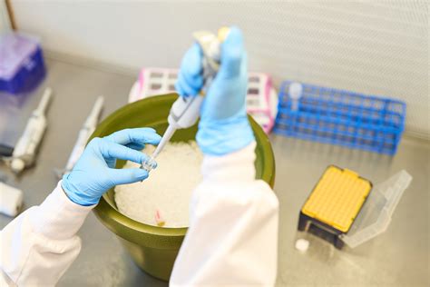 Image result for How RNA Work