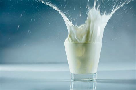 World Milk Day 2022: Top 7 myths about milk, animals in dairy farms