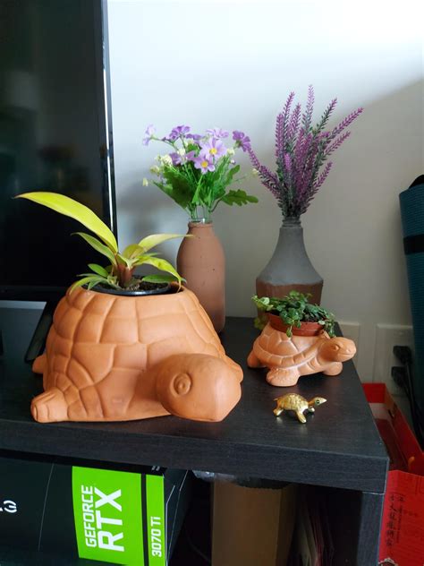 Bing FlyOver Maps 的图像结果