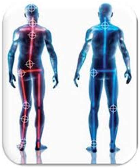 Image result for Posture Alignment Training