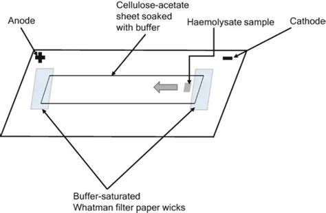 Image result for Class 8 Computer Science Notes