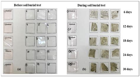 Accelerated Shelf-Life and Stability Testing of Hydrolyzed Corn Starch ...