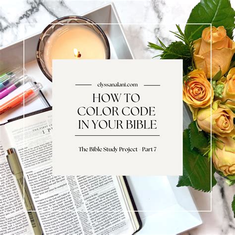 Image result for Bible Color Code