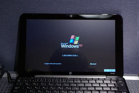 HP Intel Windows XP 的图像结果